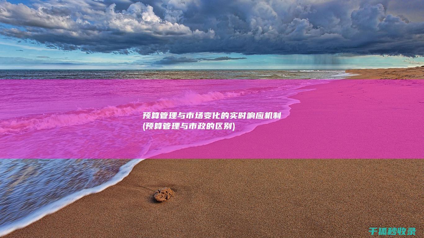 预算管理与市场变化的实时响应机制 (预算管理与市政的区别)