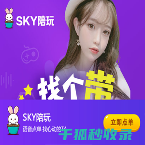 Sky陪玩网页版