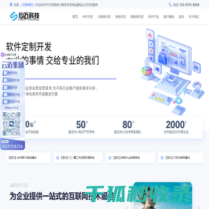 软件开发